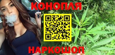 винт Донецк