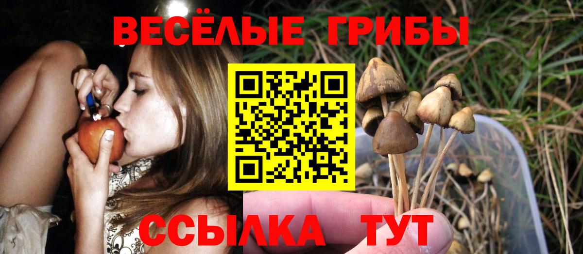 Галлюциногенные грибы Cubensis Луга