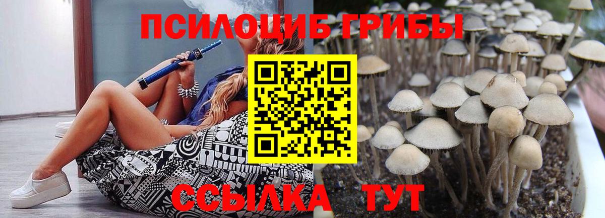 Луга  Галлюциногенные грибы MAGIC MUSHROOMS  Галлюциногенные грибы GOLDEN TEACHER  Вход с VPN 